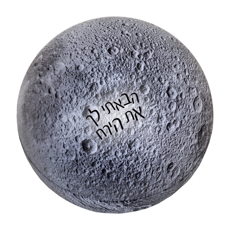 התמונה הראשית של כדור פח - ירח
